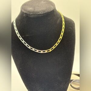Chic Silver and Gold Chain Necklace